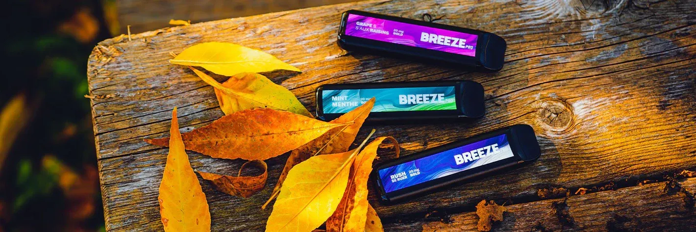 Breeze Pro Vapes